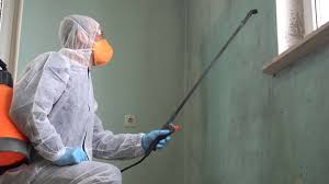 Mold Remediation for Vacation Homes in Queens, NY